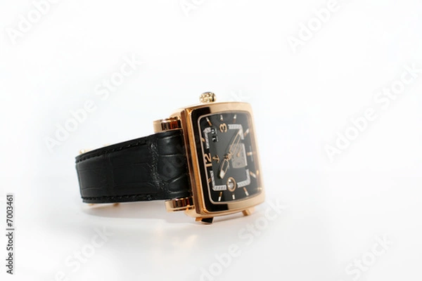 Obraz Black watch on white