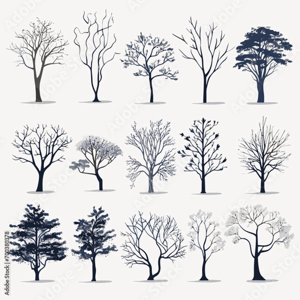 Fototapeta winter tree bare trees collection