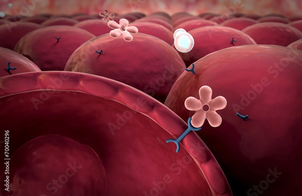 Fototapeta molecule, insulin
