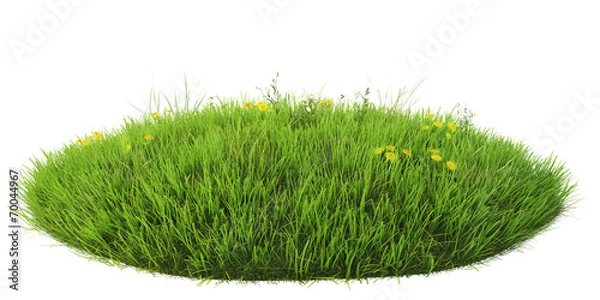 Obraz Grass