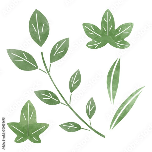 Fototapeta 葉っぱのイラストセット、水彩風　ベクター