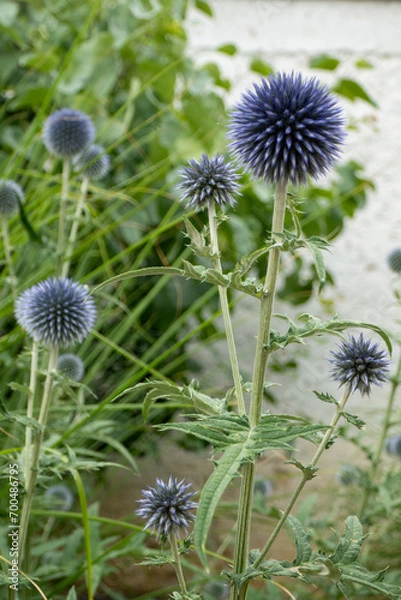 Obraz 2023-06 Fotokurs