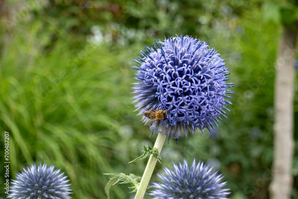 Obraz 2023-06 Fotokurs