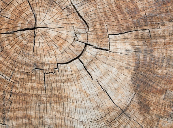 Fototapeta Wooden Texture