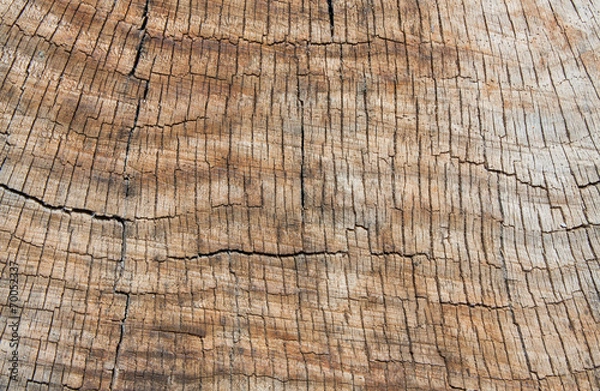 Obraz Wooden Texture