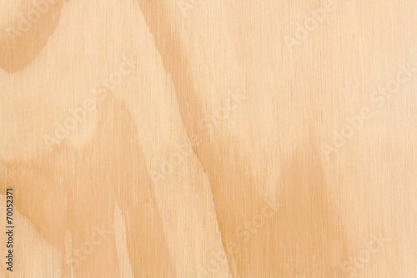 Obraz Wooden Texture