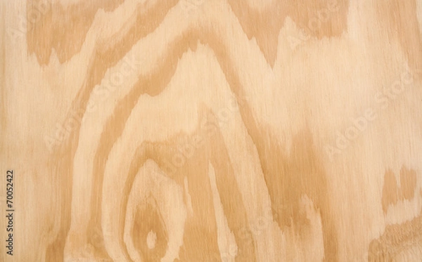 Obraz Wooden Texture