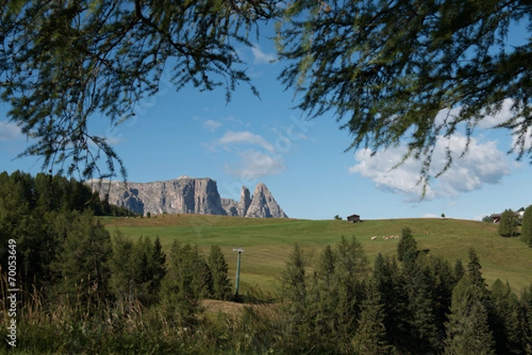 Obraz Seiser Alm - Sciliar