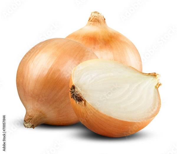 Obraz żarówki cebuli