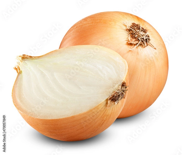 Obraz żarówki cebuli