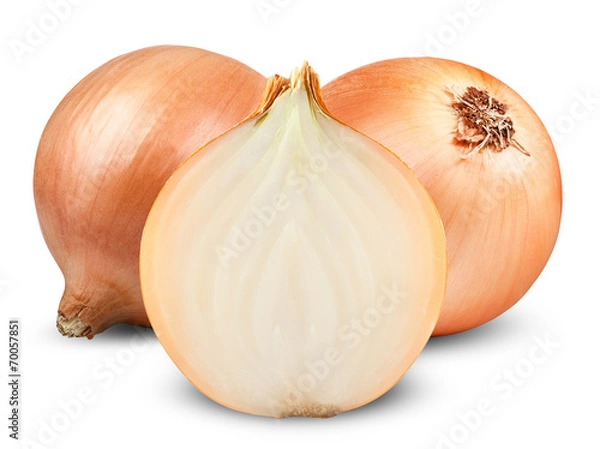 Obraz onion bulbs