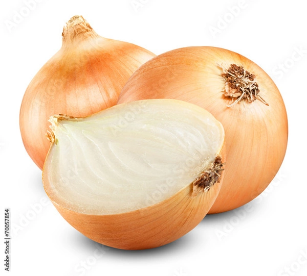 Obraz cebulki cebulowe