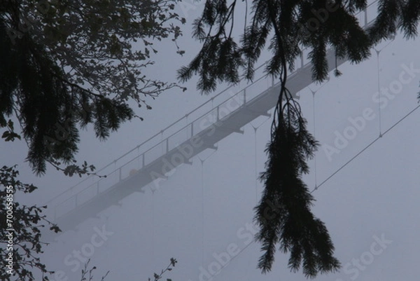 Obraz Hängebrücke