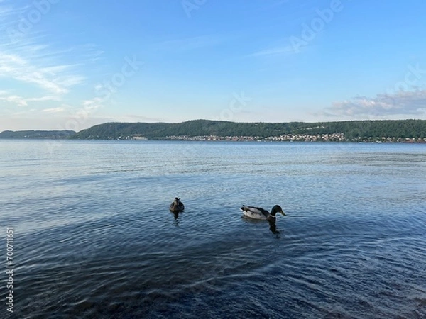 Obraz landscape with river