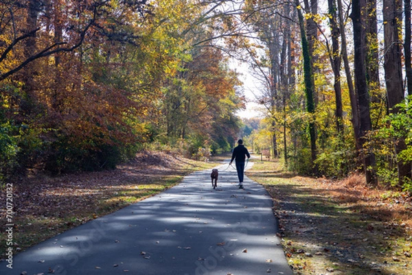 Fototapeta A dog walker on a paved hiking trail in autumn