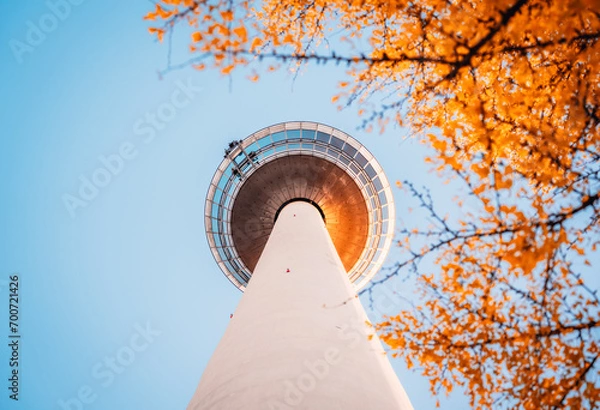 Obraz Mannheim Fernmeldeturm