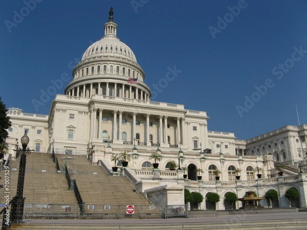Fototapeta US Capitol, Washington DC