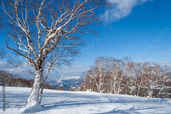 Fototapeta 冬山の山頂からの眺め