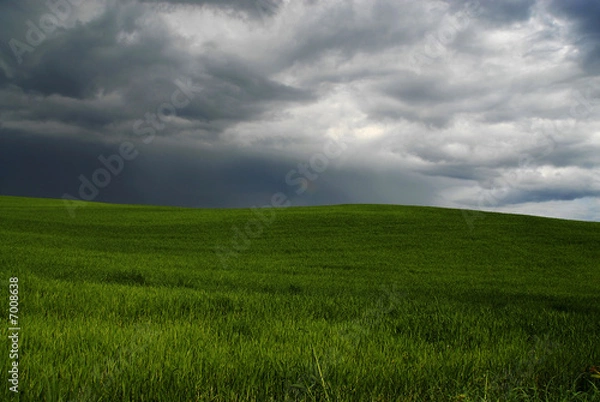 Obraz Bufera nella collina