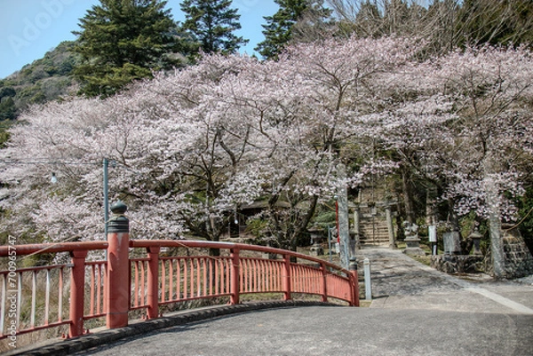 Obraz bridge in winter