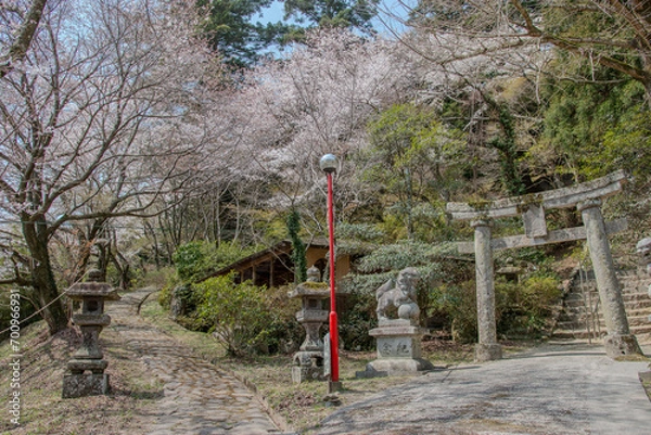 Obraz bridge in winter