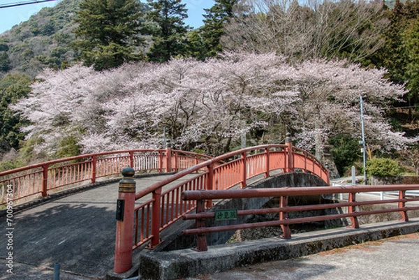 Obraz bridge in winter