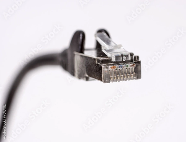 Obraz Netzwerkkabel_08426