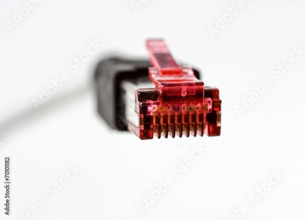 Obraz Netzwerkkabel_08429