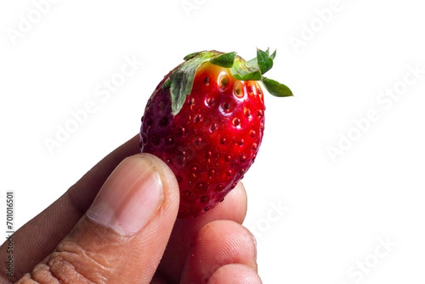 Fototapeta Red berry strawberry in hand isolated on white background