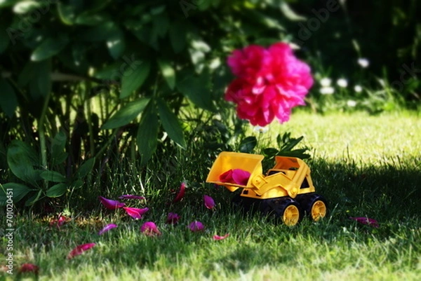 Obraz tools on the grass