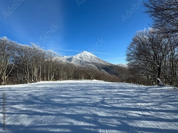 Fototapeta 2023年の12月の福島県のネコママウンテンの旧アルツ磐梯側の南エリア