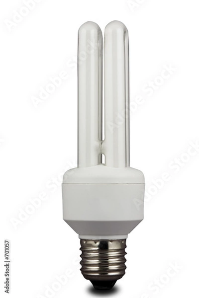 Obraz energy saving bulb