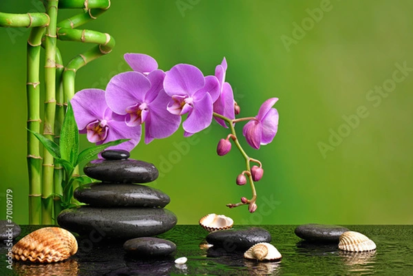 Obraz Storczyk z kamieniami bazaltowymi i muszlami