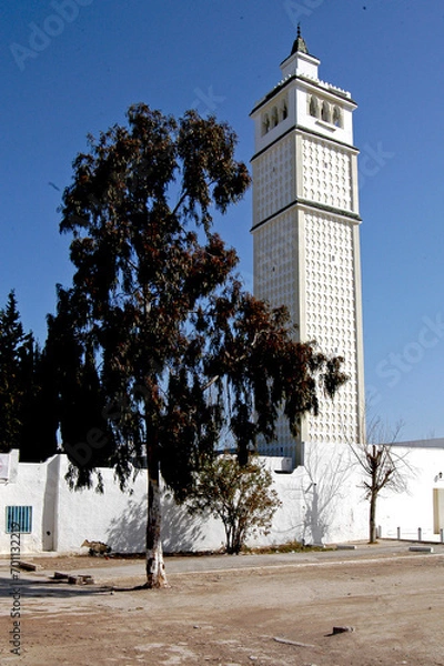 Obraz Tunisian religious architecture between history, art and tradition, future and past, Tunisia, Africa