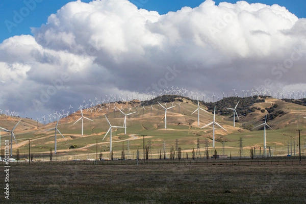 Obraz Bakersfield Wind Farm