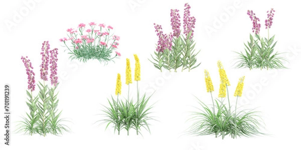 Fototapeta Digitalis,Giant Foxtail,Carnation flowers plants with transparent background, 3D rendering, for illustration, digital composition, architecture visualization