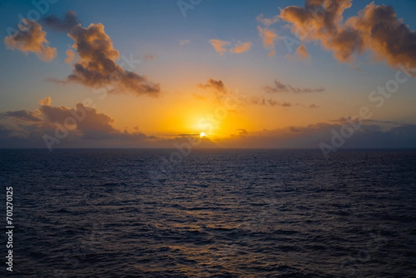 Obraz Cruise Ship in the sea