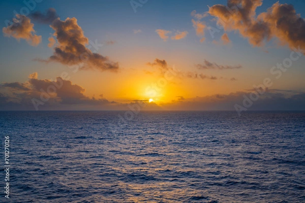 Obraz Cruise Ship in the sea
