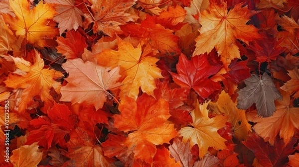 Fototapeta Crisp autumn foliage texture with a mosaic of red, orange, and yellow leaves.
