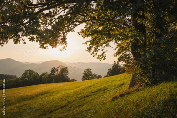 Obraz Weitblick Mostviertel