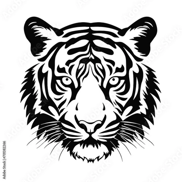 Fototapeta white tiger head