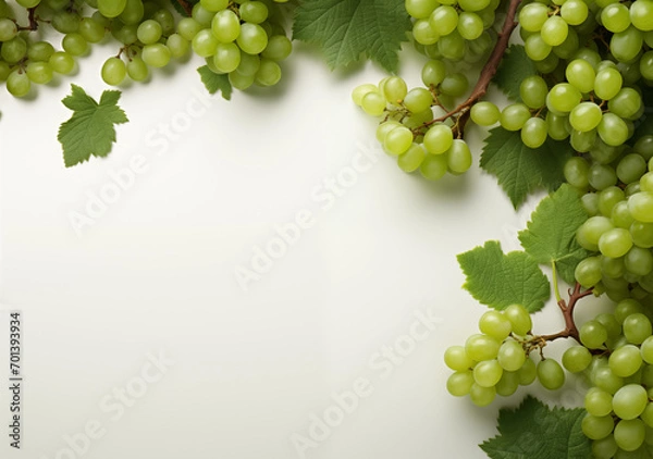 Fototapeta Green Grapes - Decorative Border with Center Copy Space