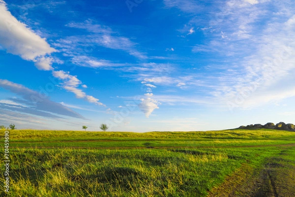 Fototapeta A green grassy plain under the blue sky with fluffy clouds in a windy sunny day as a background