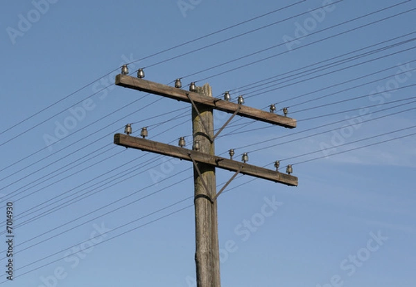 Fototapeta 01 telegraph