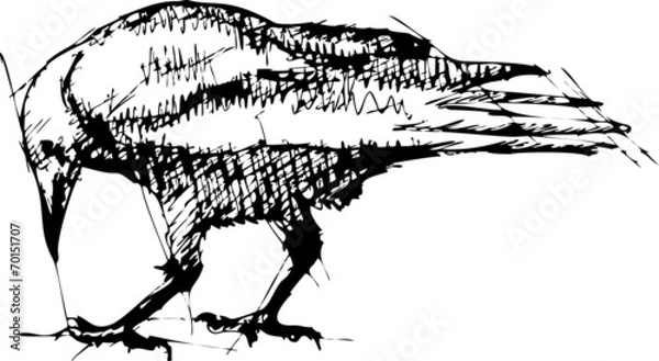 Obraz Crows vector Pen Drawing