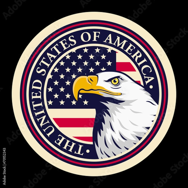 Obraz American bald eagle against USA flag background.