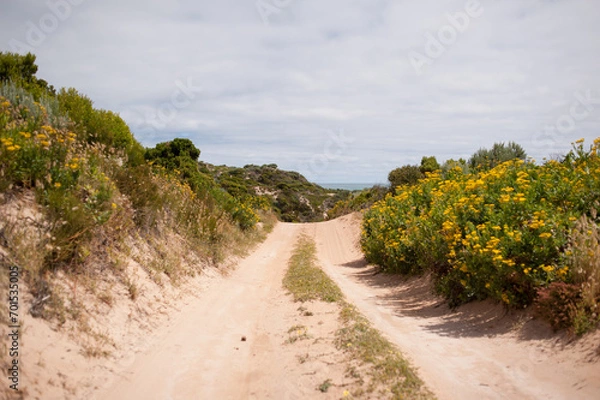 Fototapeta 4x4 Beach Track