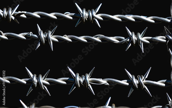 Obraz barbed wire on a black background