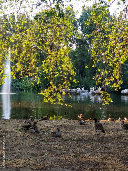 Obraz autumn in the park