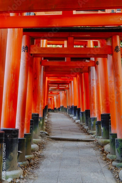Fototapeta 京都の伏見稲荷大社の初詣